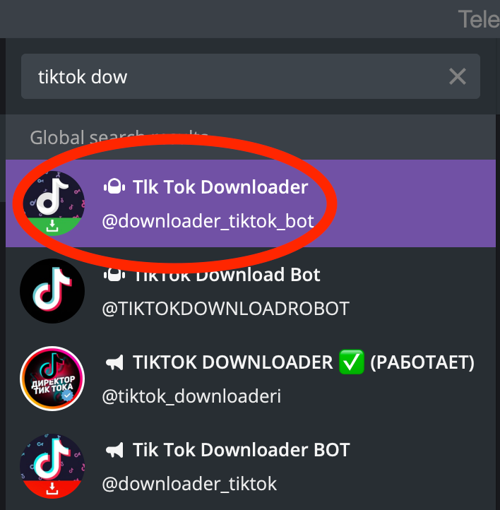 Download TikTok Videos with By Click Downloader